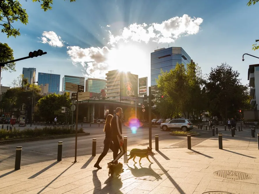 Calle de Polanco al atardecer, Ciudad de México